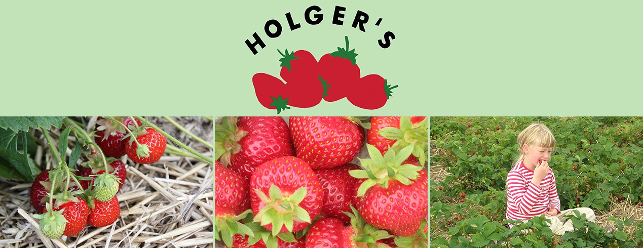 Holgers Jordbær